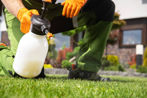 Best Pest Control Near Me  in Agler Beach, FL